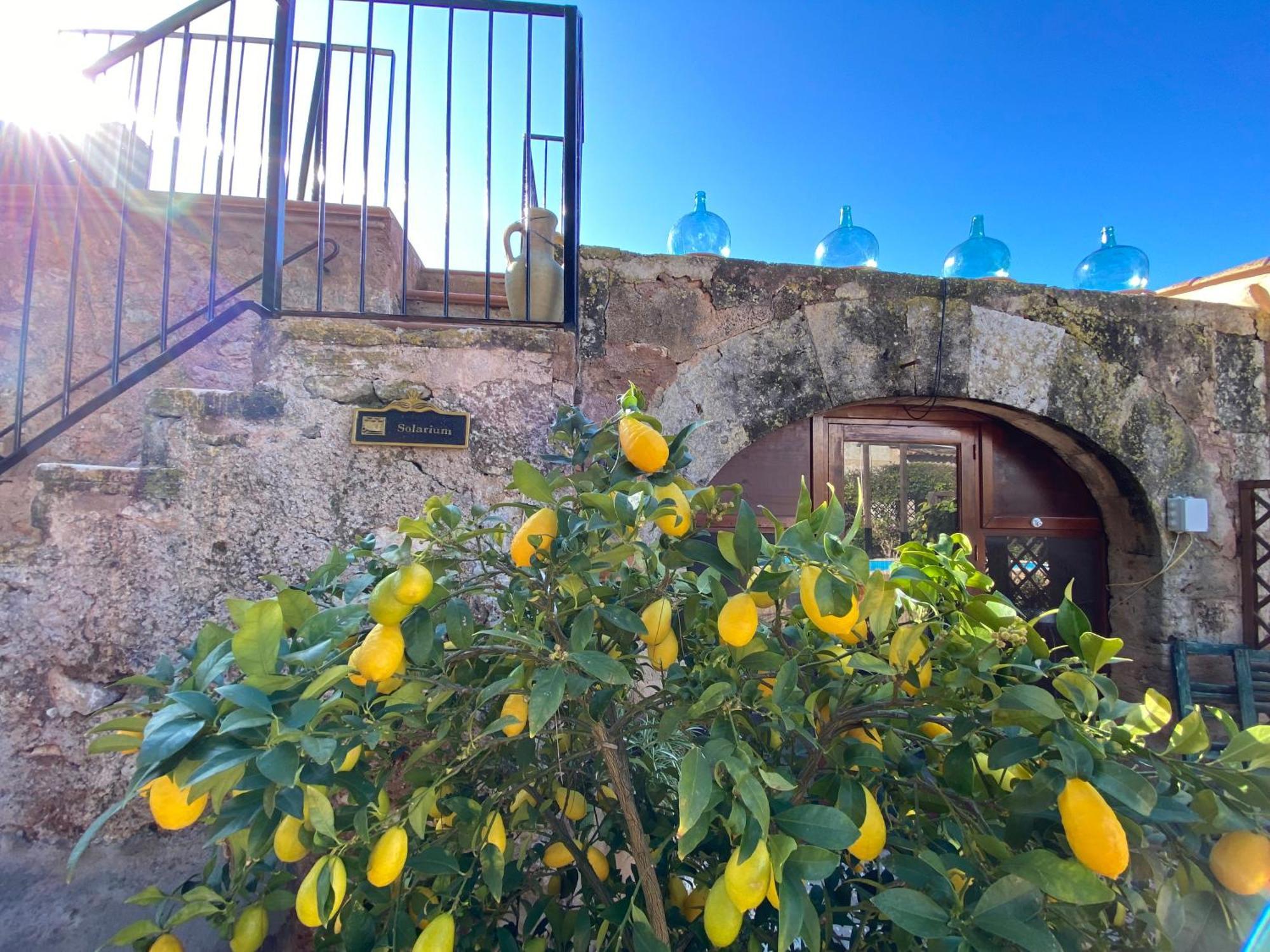 Finca Sa Canova Agroturismo Campos  Eksteriør billede