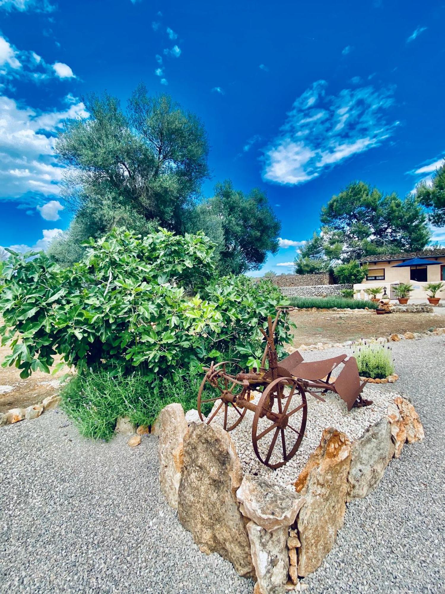 Finca Sa Canova Agroturismo Campos  Eksteriør billede