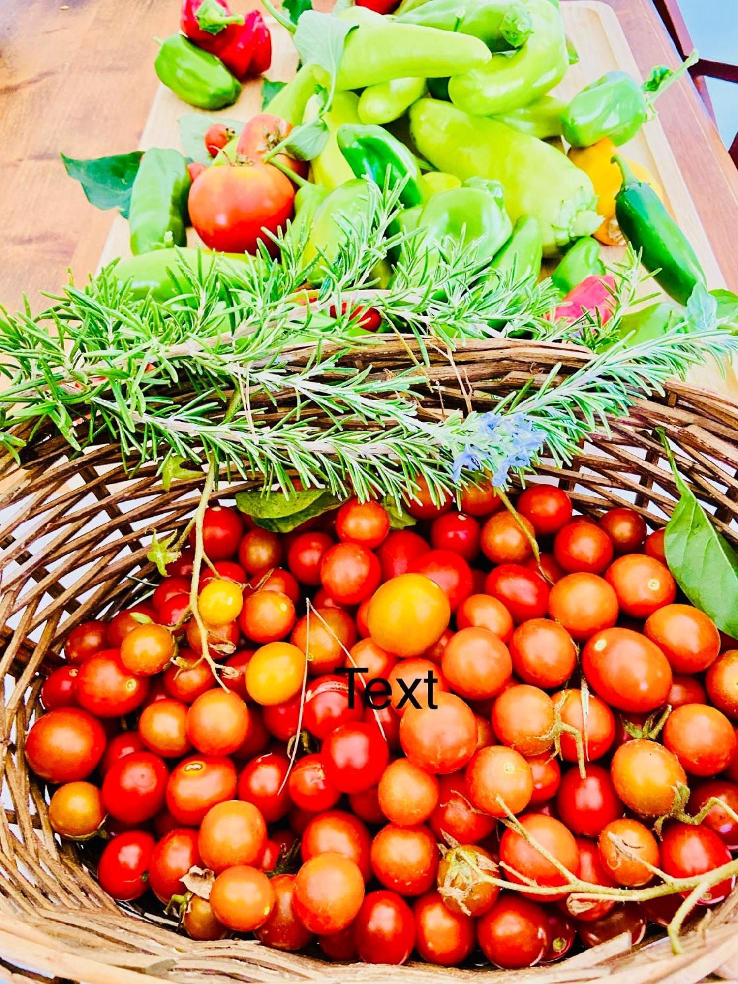 Finca Sa Canova Agroturismo Campos  Eksteriør billede